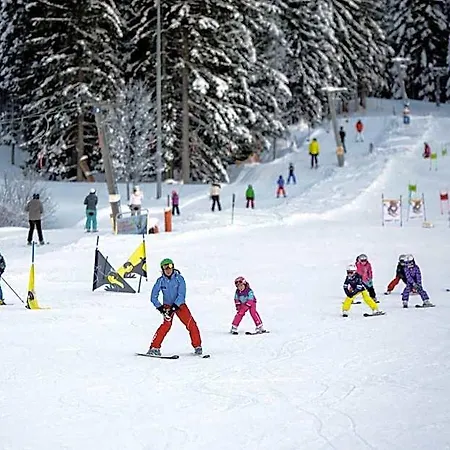 Dorf-chalets Mit Sauna Dağ evi