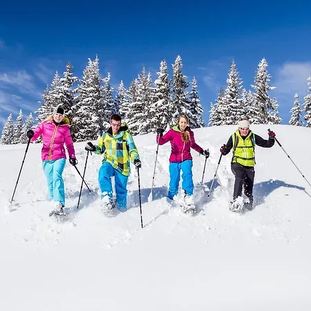 Dorf-chalets Mit Sauna *