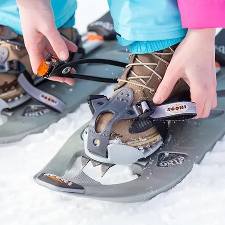 Dorf-chalets Mit Sauna *