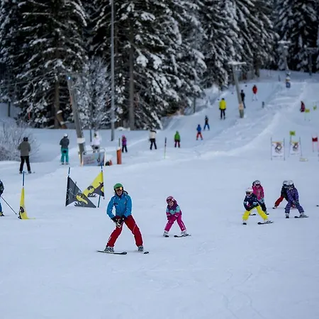 Dorf-chalets Mit Sauna Chalet Filzmoos