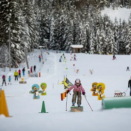 Dorf-chalets Mit Sauna Filzmoos