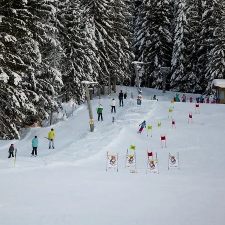Dorf-chalets Mit Sauna Chalet