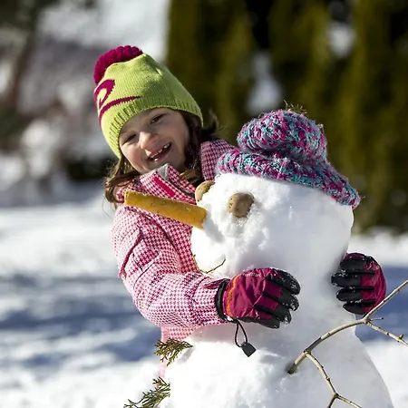 Alpesi faház Dorf-chalets Mit Sauna *
