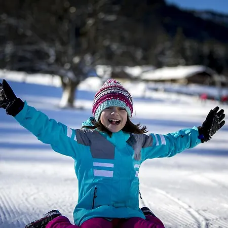 Dorf-chalets Mit Sauna Filzmoos