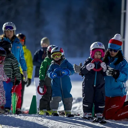 Dorf-chalets Mit Sauna Chalet