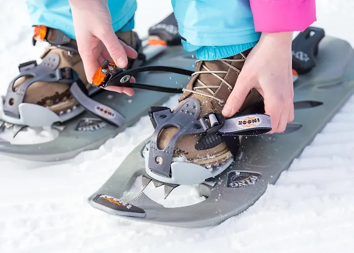 Dorf-chalets Mit Sauna *