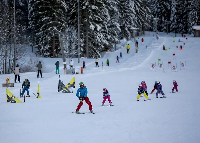 Dorf-chalets Mit Sauna شاليه فيلزموس