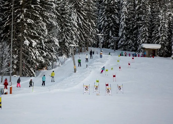 Dorf-chalets Mit Sauna شاليه